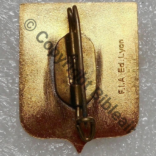 NH REFRAPPE AMICALE GROUPES LOURDS  1975+ GROUPE 1.25  FIA.Ed.LYON Bol fenetre allonge Dos lisse irreg scintillant Src.chewi.fr 132Eur(x2) 